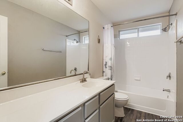 Image 20 of 25 For 14310 Yellow Warbler