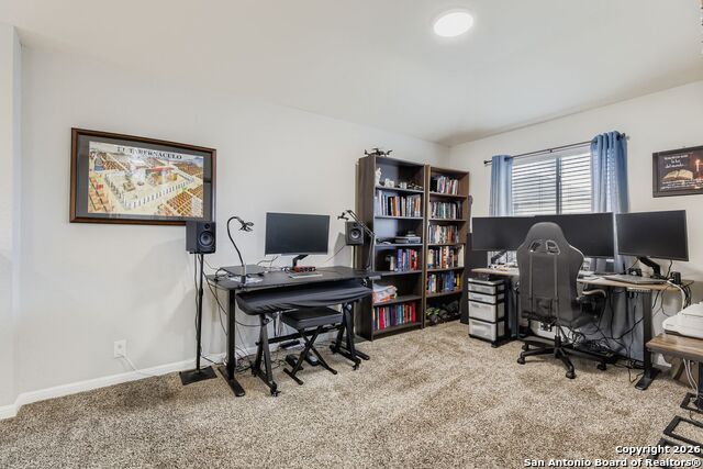 Image 21 of 25 For 14310 Yellow Warbler