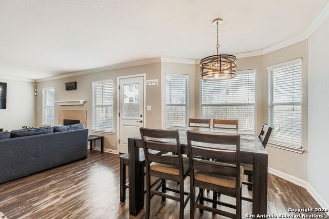 Image 6 of 25 For 14310 Yellow Warbler