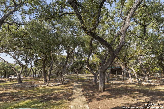 Image 36 of 59 For 33171 Blanco