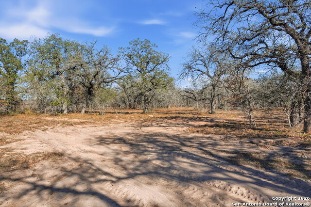 Image 8 of 71 For 843 County Road 331