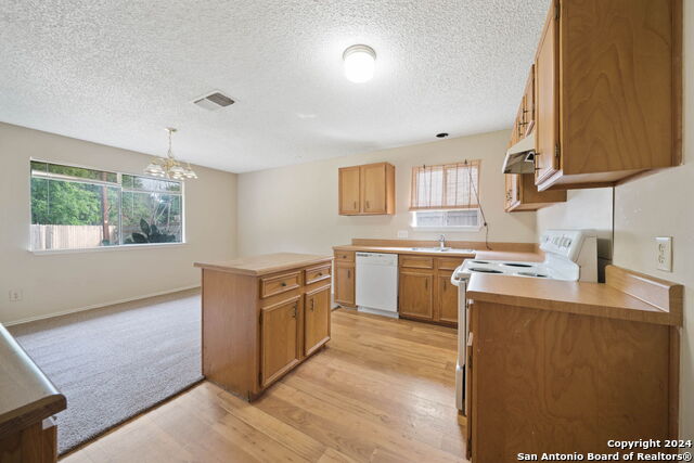 Listing photo id 10 for 13918 Tree Crossing St