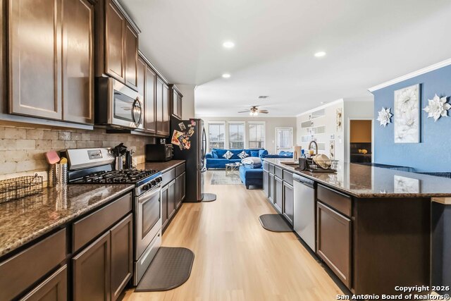 Image 11 of 33 For 105 Cackling Goose