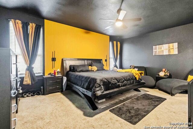 Image 15 of 33 For 105 Cackling Goose