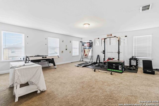 Image 20 of 33 For 105 Cackling Goose