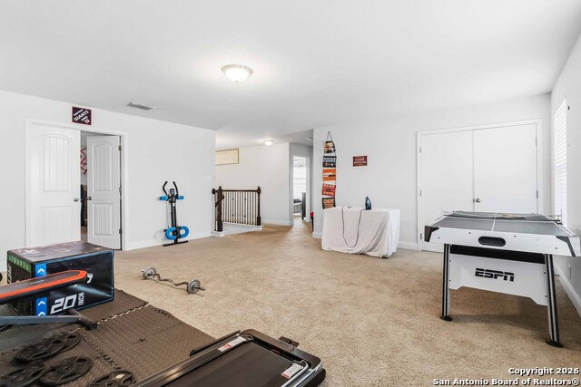 Image 21 of 33 For 105 Cackling Goose