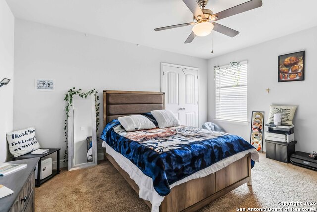 Image 24 of 33 For 105 Cackling Goose