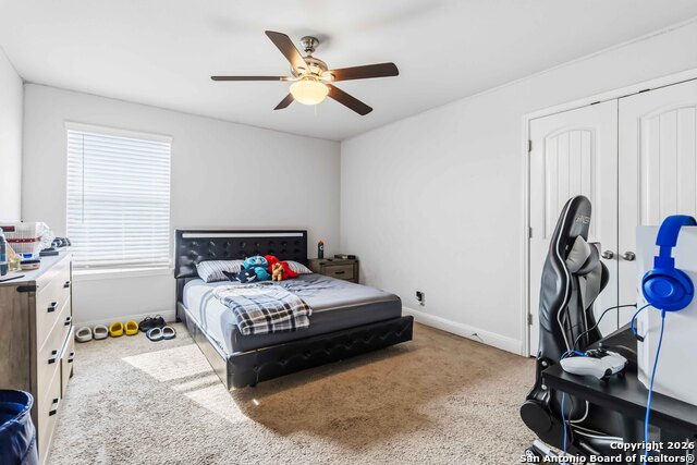 Image 25 of 33 For 105 Cackling Goose