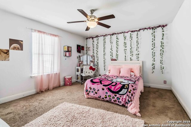 Image 26 of 33 For 105 Cackling Goose