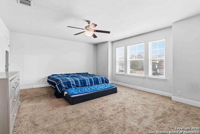 Image 27 of 33 For 105 Cackling Goose