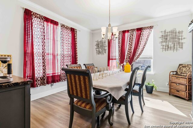 Image 7 of 33 For 105 Cackling Goose