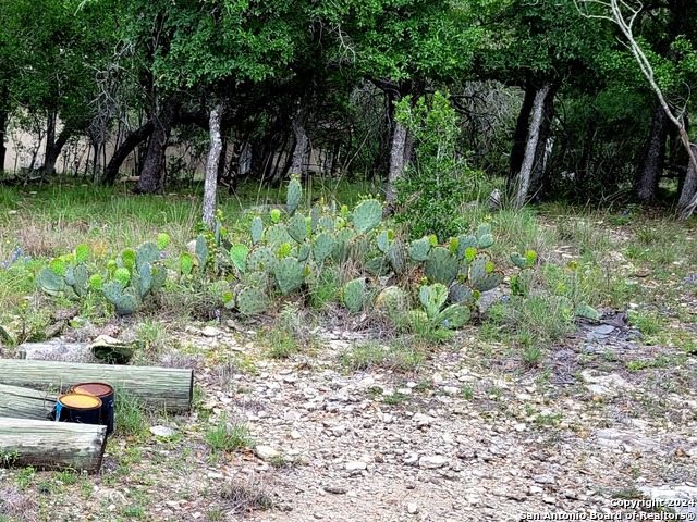 Image 11 of 13 For Lot 270 Forest Clfs