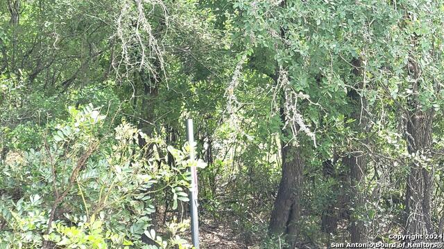 Image 6 of 13 For Lot 270 Forest Clfs