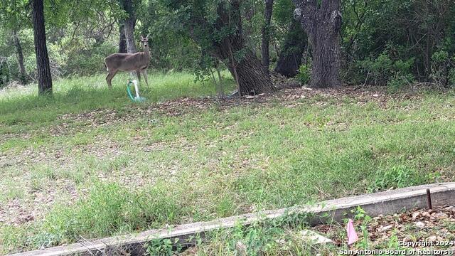 Image 8 of 13 For Lot 270 Forest Clfs