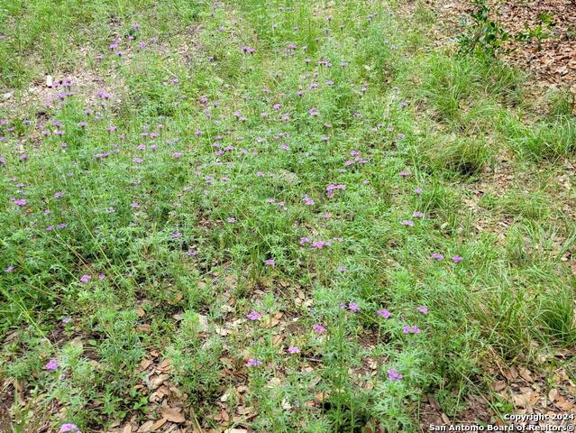 Image 9 of 13 For Lot 270 Forest Clfs