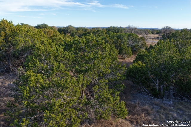 Image 18 of 31 For Parcel 1 Rio Lantana Dr