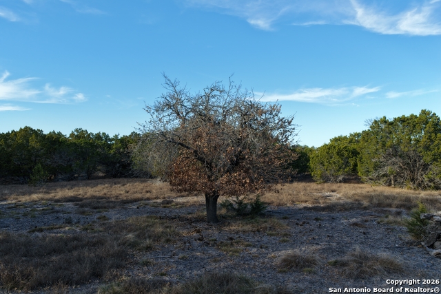 Image 20 of 31 For Parcel 1 Rio Lantana Dr
