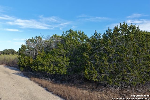 Image 23 of 31 For Parcel 1 Rio Lantana Dr