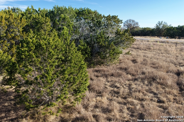 Image 29 of 31 For Parcel 1 Rio Lantana Dr