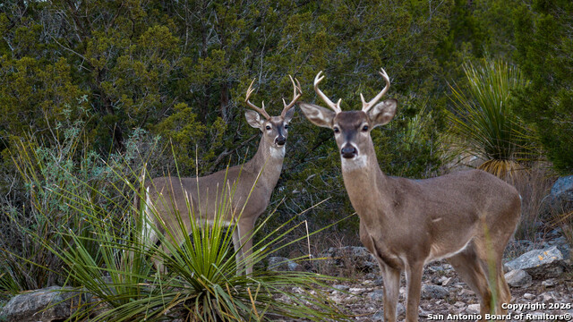 Image 24 of 44 For Tbd Us Highway 377