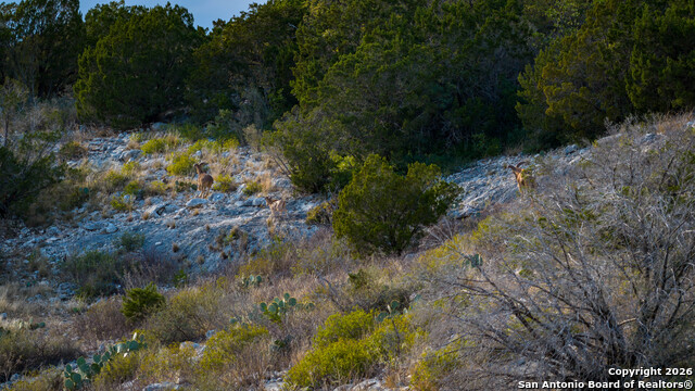 Image 6 of 44 For Tbd Us Highway 377