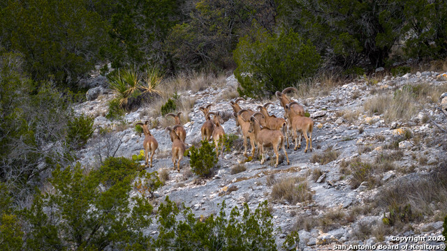 Image 7 of 44 For Tbd Us Highway 377