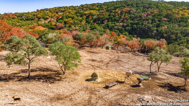 Image 4 of 52 For 225 Arrowhead Lane