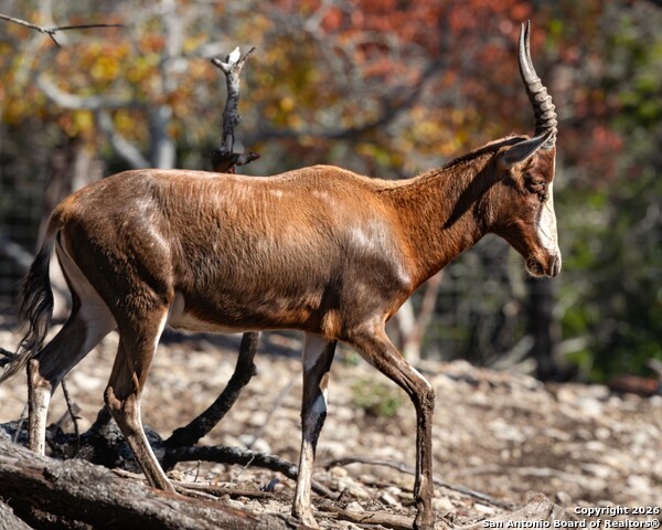 Image 45 of 52 For 225 Arrowhead Lane