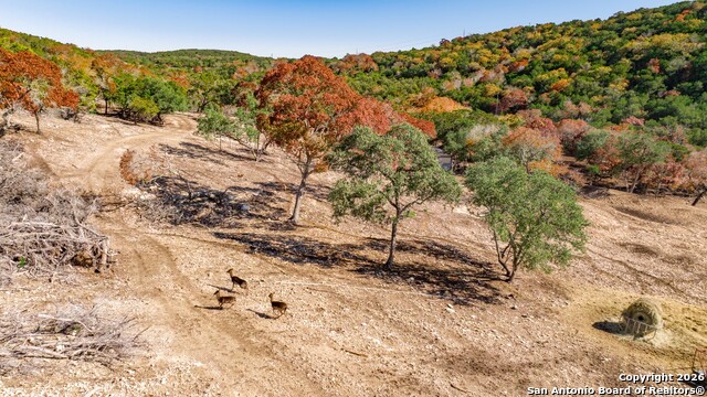 Image 5 of 52 For 225 Arrowhead Lane