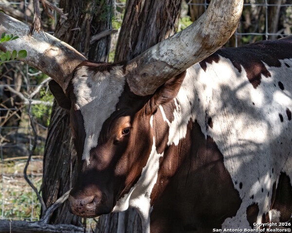 Image 51 of 52 For 225 Arrowhead Lane