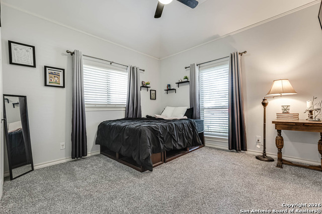 Image 27 of 41 For 1611 Wood Quail