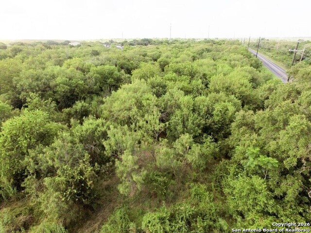 Listing photo id 14 for 5039 Old Pearsall Rd