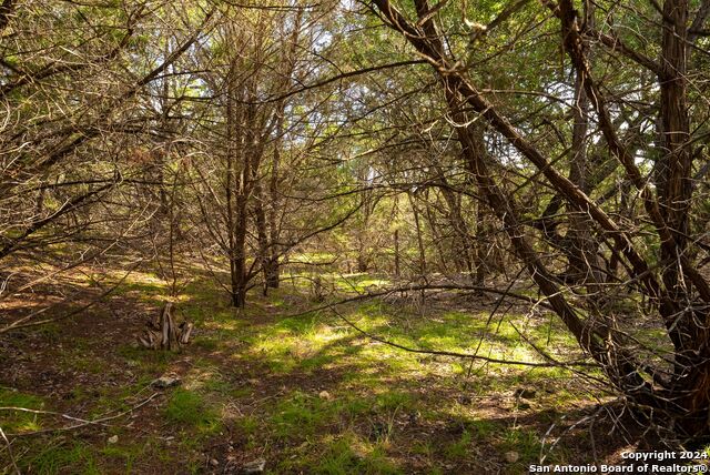 Image 19 of 32 For 382 Cloudveil