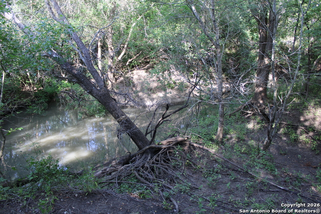 Image 13 of 18 For 760-1 N Greytown Rd