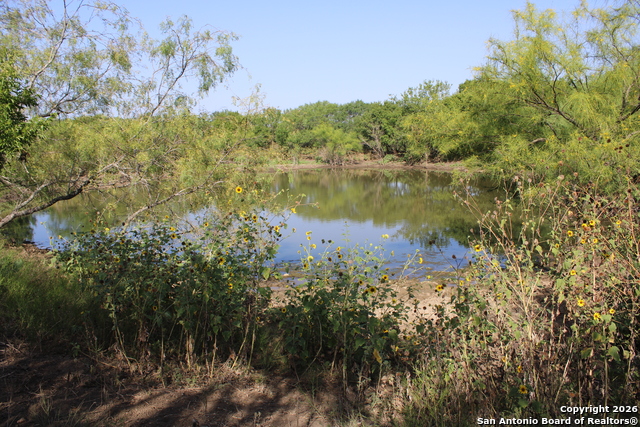 Image 16 of 18 For 760-1 N Greytown Rd