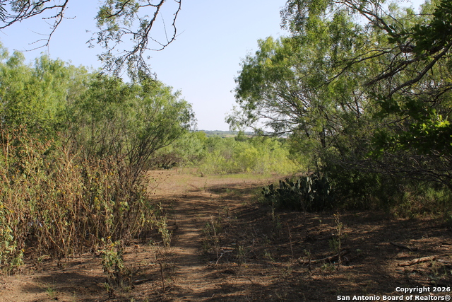 Image 18 of 18 For 760-1 N Greytown Rd