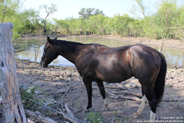 Image 7 of 18 For 760-1 N Greytown Rd