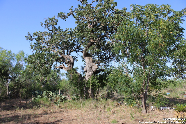 Image 9 of 18 For 760-1 N Greytown Rd