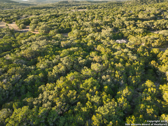 Image 16 of 21 For 100 County Road 242