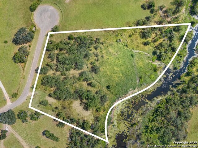 Image 2 of 11 For 200 Lolita  