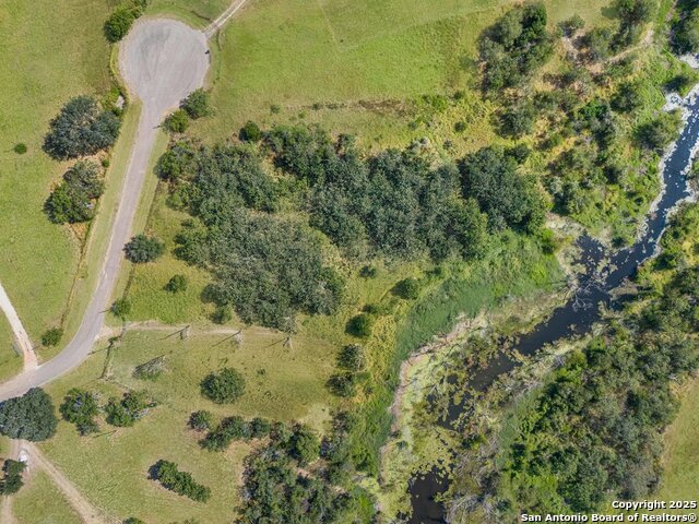 Image 4 of 11 For 200 Lolita  