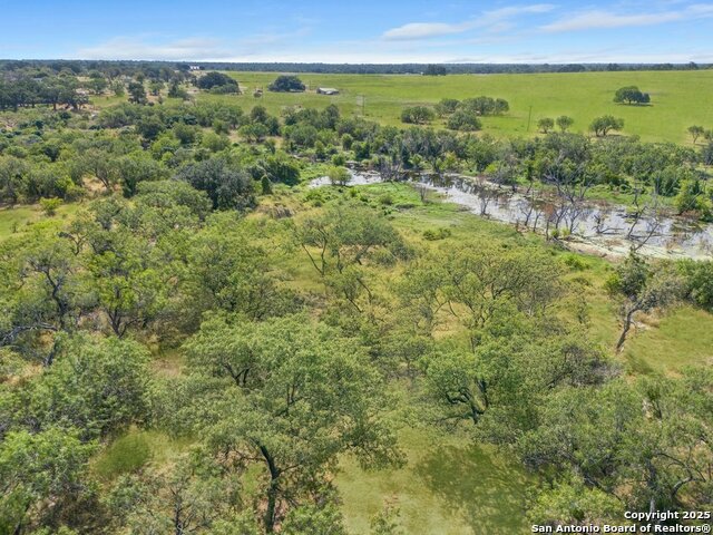 Image 6 of 11 For 200 Lolita  