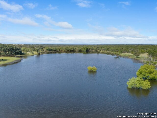 Image 7 of 11 For 200 Lolita  