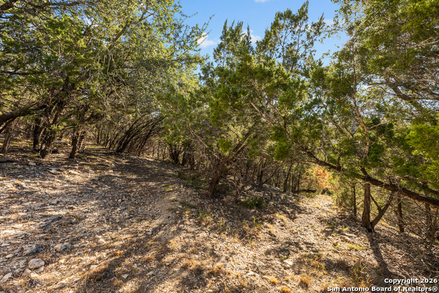 Image 41 of 47 For 250 Misty Brook