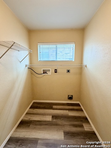 Image 13 of 28 For 25526 Gold Yarrow