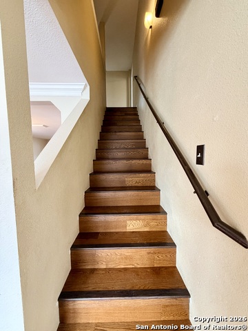 Image 14 of 28 For 25526 Gold Yarrow