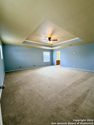 Image 15 of 28 For 25526 Gold Yarrow