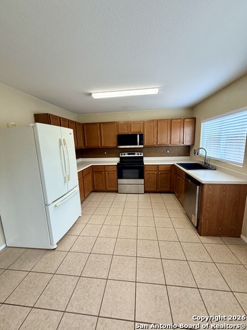 Image 9 of 28 For 25526 Gold Yarrow