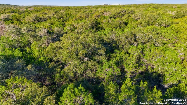 Image 20 of 25 For 118 Restless Wind