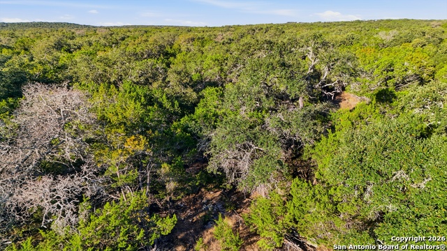 Image 21 of 25 For 118 Restless Wind